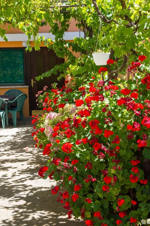 Apartments Stefanovski Paradiso Veli Lošinj Szoba fotó